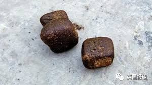 英国报姐：靠方形粑粑扬名的网红袋熊，居然还是大火中的暖心英雄？！