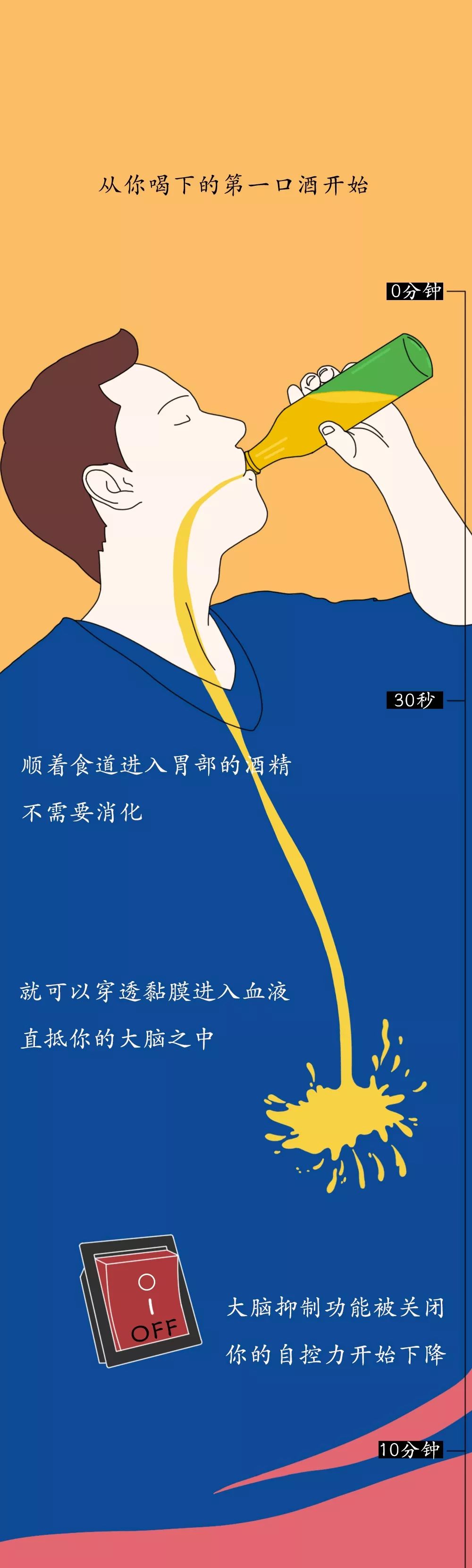 「瞭望智库」酒精进入体内的24小时