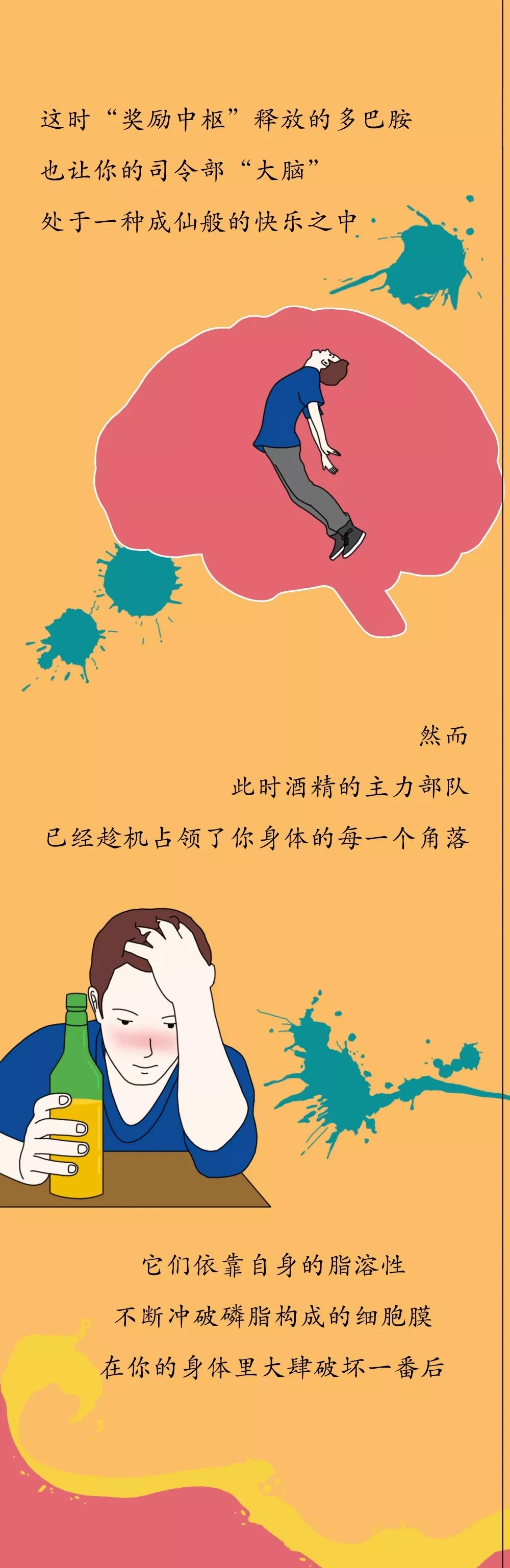 「瞭望智库」酒精进入体内的24小时