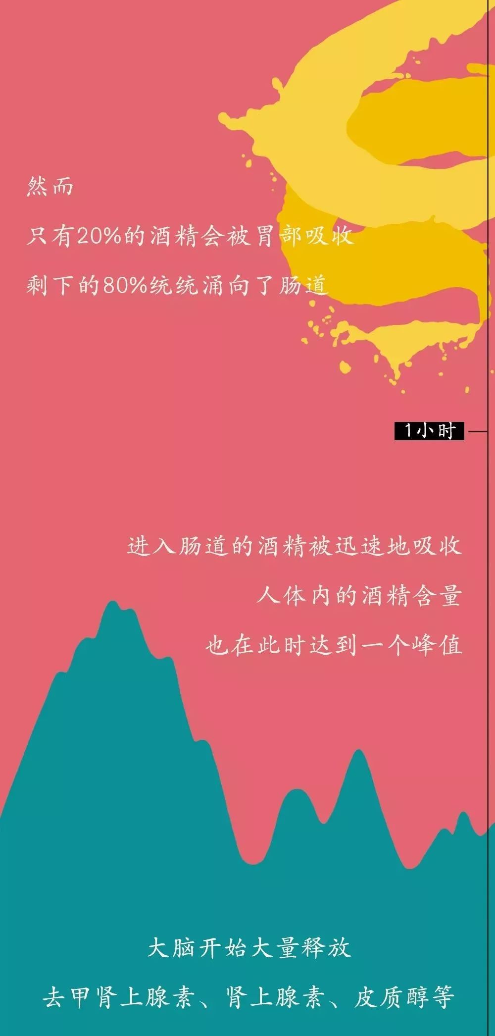 「瞭望智库」酒精进入体内的24小时