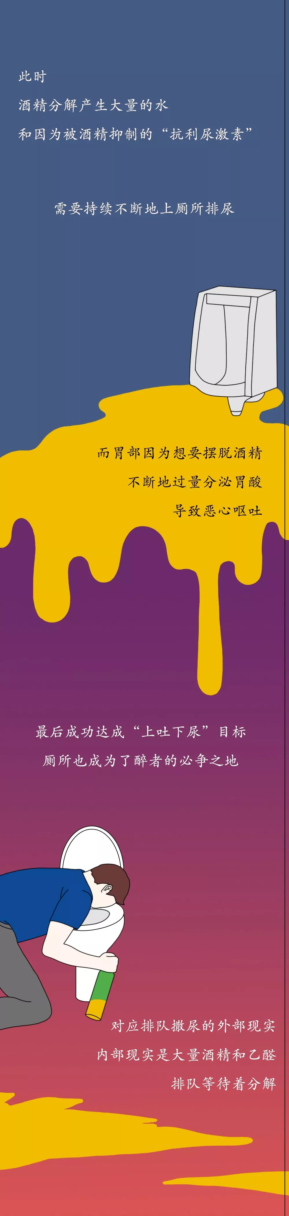 「瞭望智库」酒精进入体内的24小时