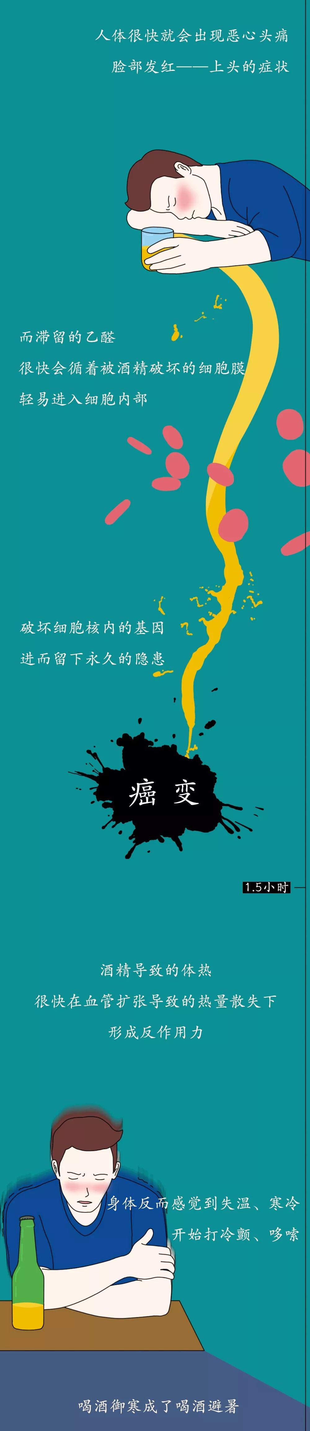 「瞭望智库」酒精进入体内的24小时