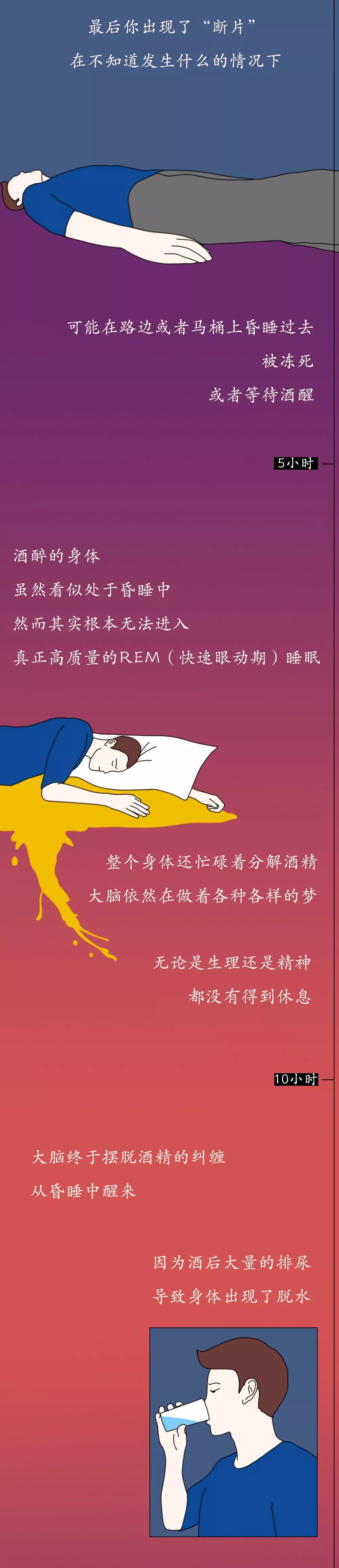 「瞭望智库」酒精进入体内的24小时