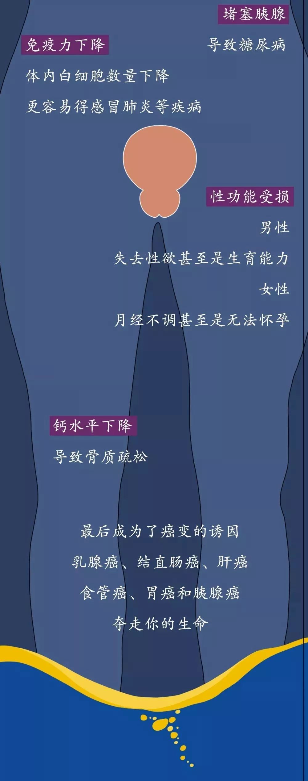 「瞭望智库」酒精进入体内的24小时