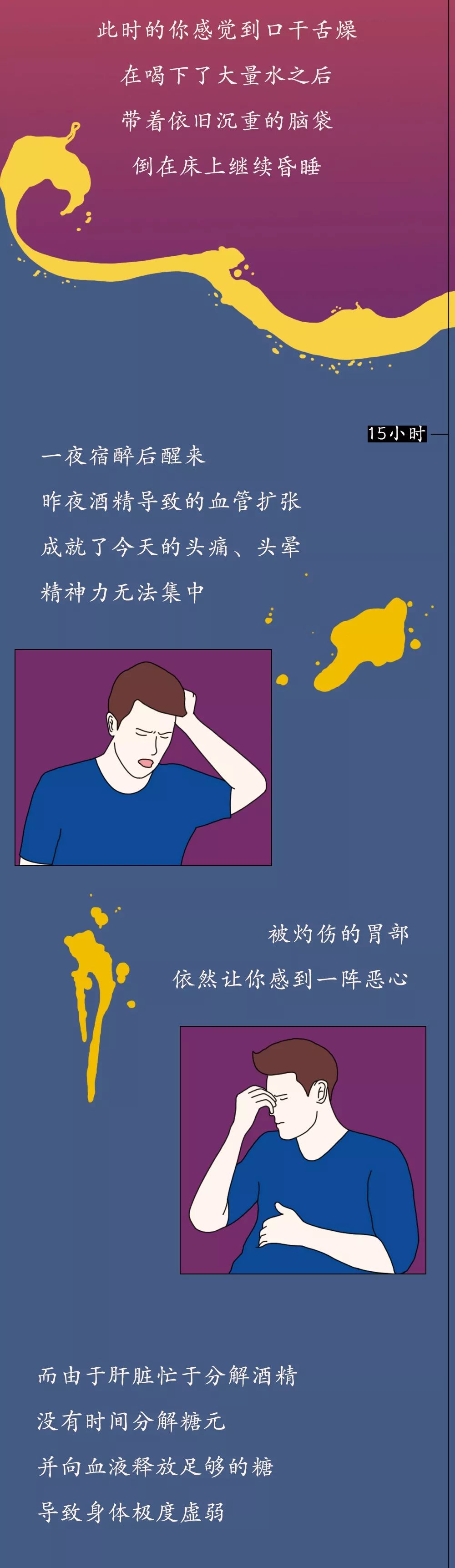 「瞭望智库」酒精进入体内的24小时