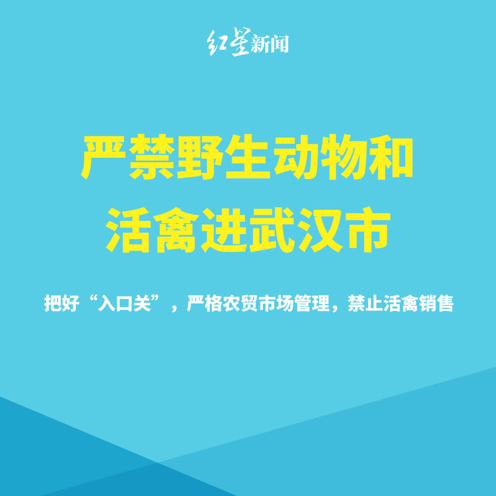 红星新闻@关于新型肺炎疫情，这9个最新事实你要知道