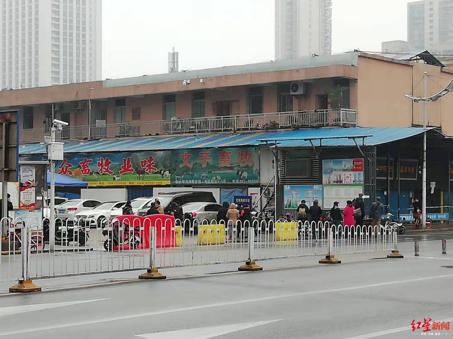 [红星新闻]武汉华南海鲜市场休市，网上仍在售卖野味 店家：它们没疯也没咬人