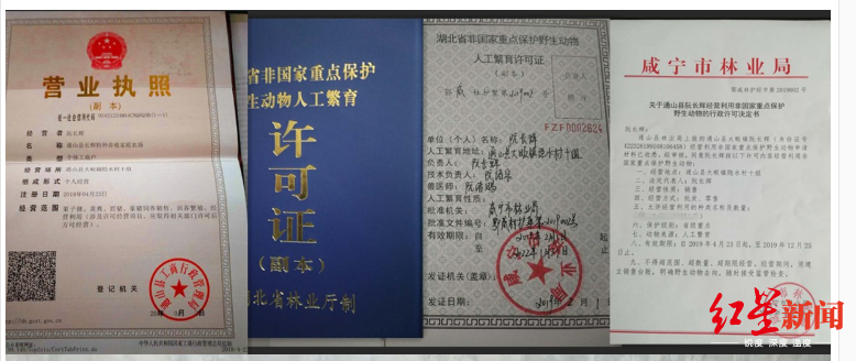 [红星新闻]武汉华南海鲜市场休市，网上仍在售卖野味 店家：它们没疯也没咬人