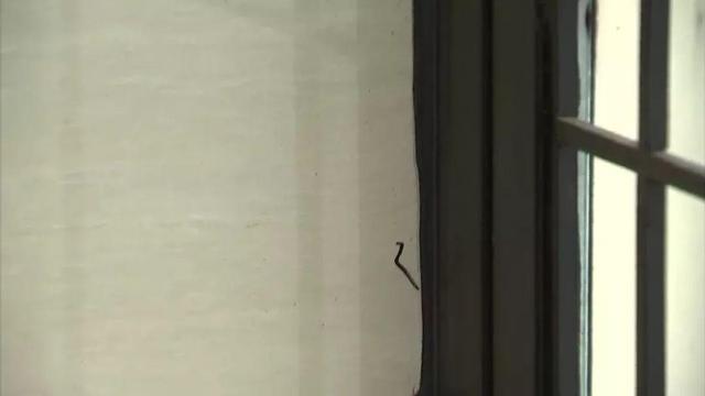 生活报@六旬快递员在住户门上画符号，业主心忧小偷而报警