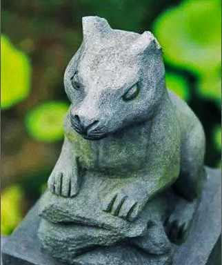 趣话煤炭一鼠年说鼠煤矿工人说老鼠是他们的保护神