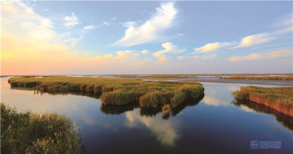 黄河口生态旅游区面积图片