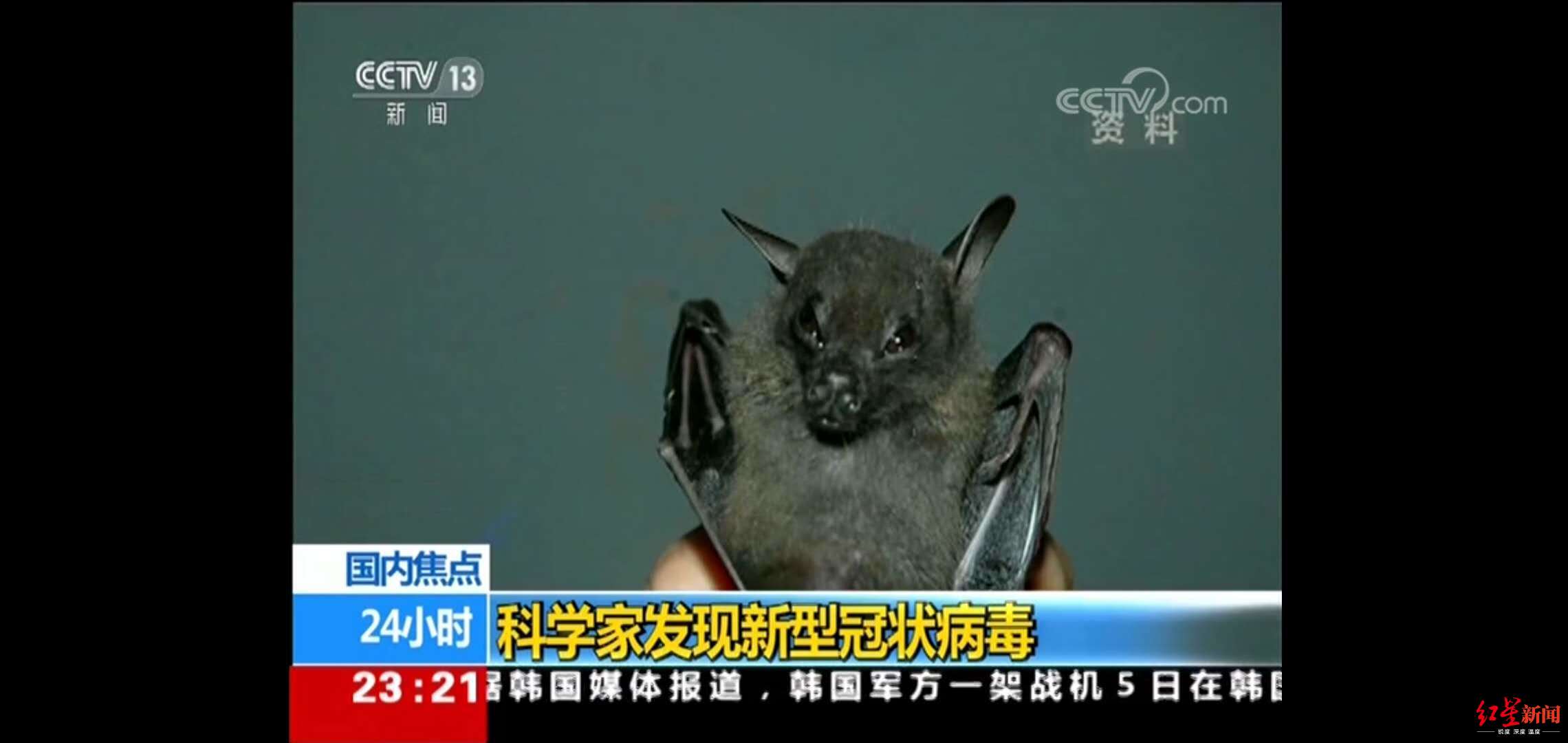 #红星新闻#新型冠状病毒2018年就发现了？专家：当时发现的和此次发现的并非同一种