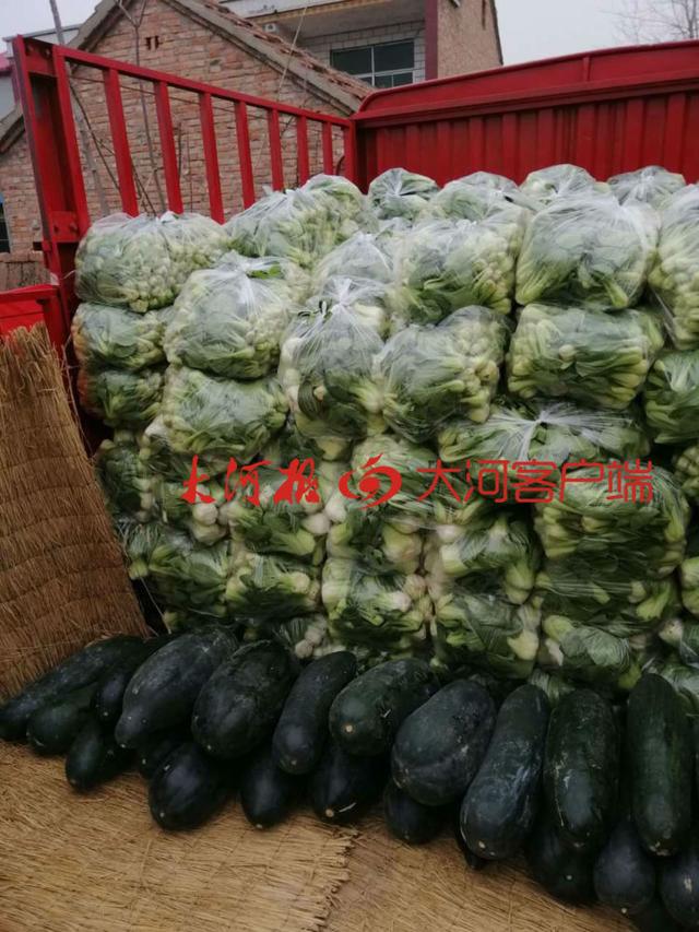 「大河客户端」曾在武汉服役的周口村支书 连夜支援火神山医院5吨蔬菜