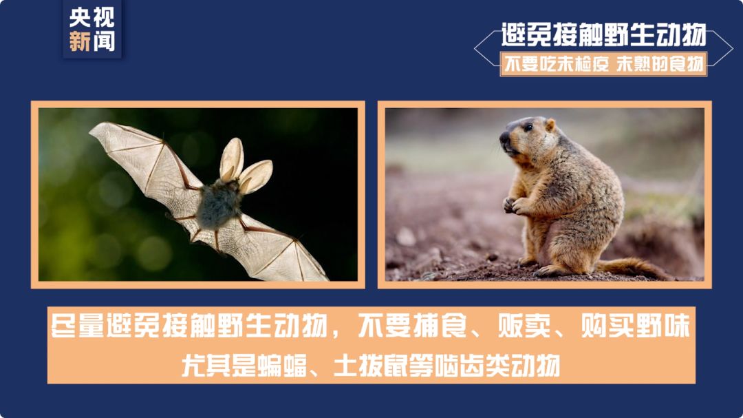 厦门日报：第二次敲黑板，划重点！全市人民看过来！口罩怎么戴？废弃口罩怎么处理？居家如何消毒？