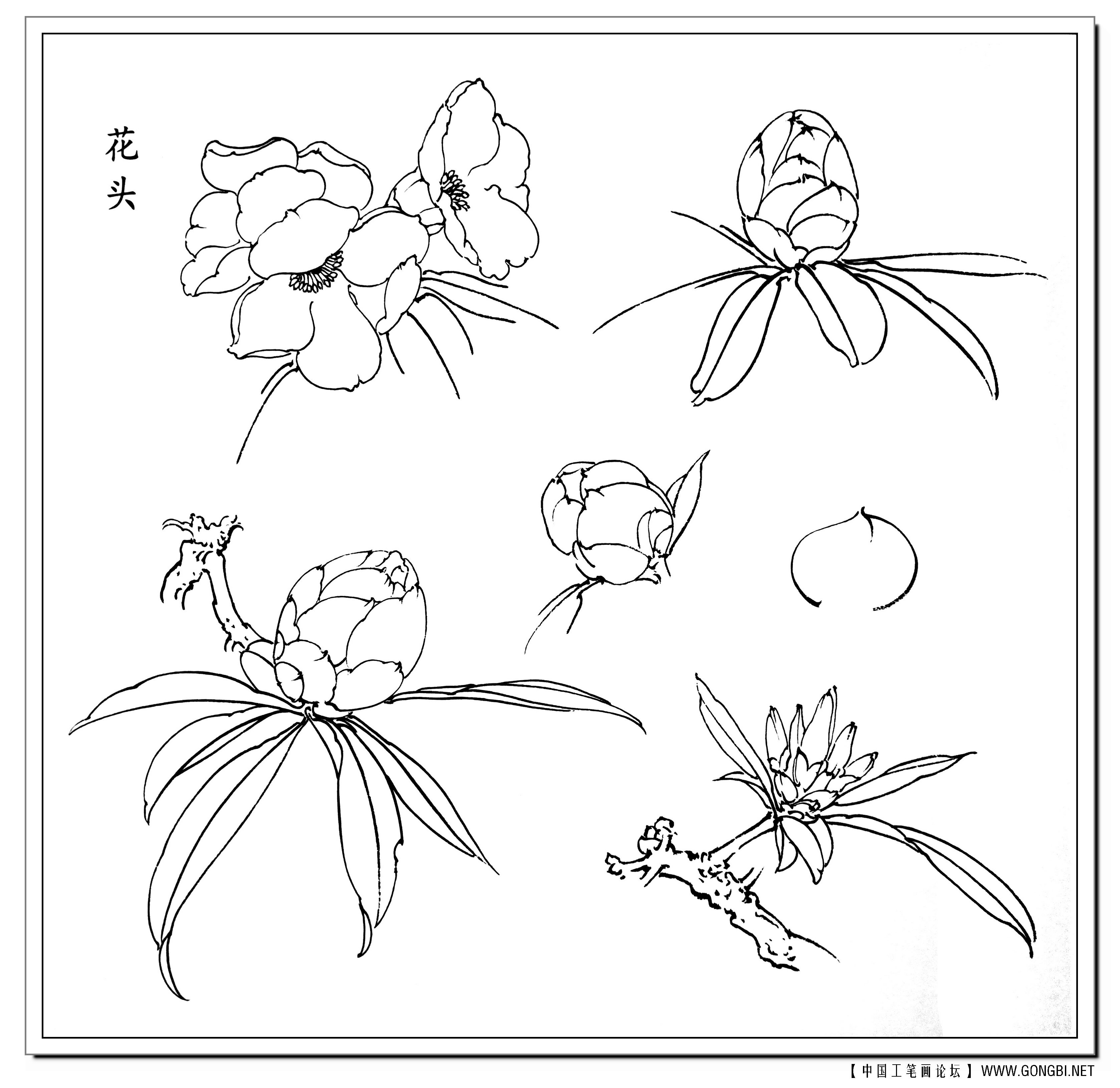 白描的十八种技法图片