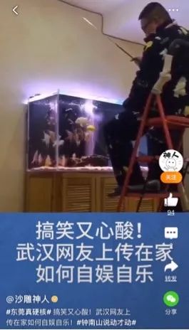 「国是直通车」学会新年俗：宅在家的100种姿势