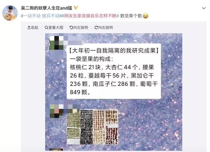 「国是直通车」学会新年俗：宅在家的100种姿势