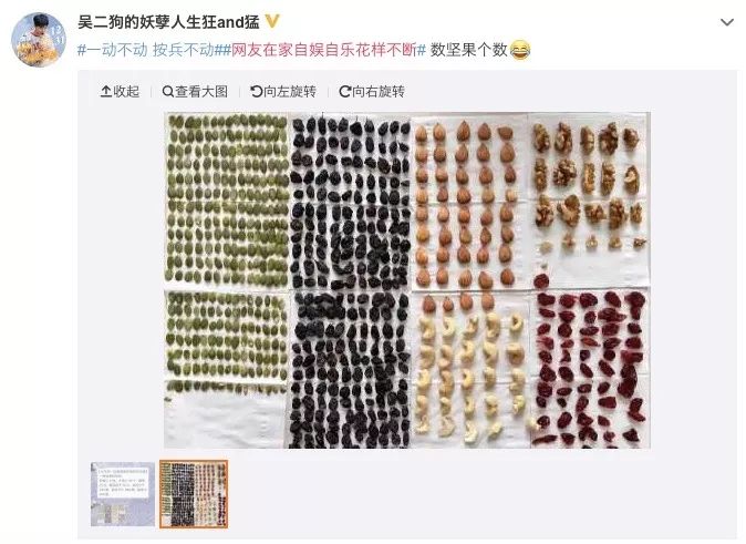 「国是直通车」学会新年俗：宅在家的100种姿势