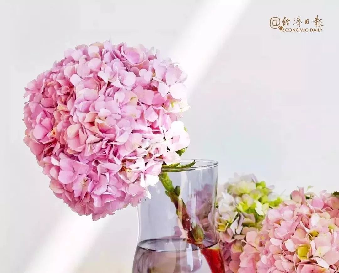 「证券日报」心理创伤与新型冠状病毒结伴而来，心理学家教你如何应对→