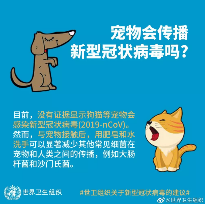 「经济日报」世卫组织称无证据显示宠物会感染新型冠状病毒