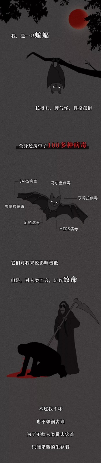 长沙晚报掌上长沙@一只蝙蝠的自述在朋友圈火了：千万不要再吃野味了！