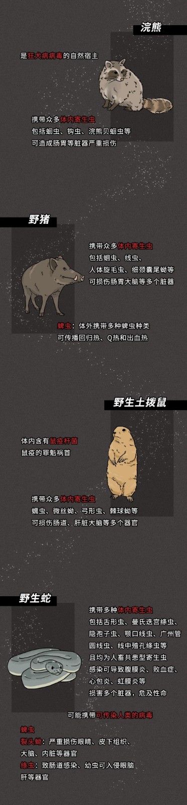 长沙晚报掌上长沙@一只蝙蝠的自述在朋友圈火了：千万不要再吃野味了！