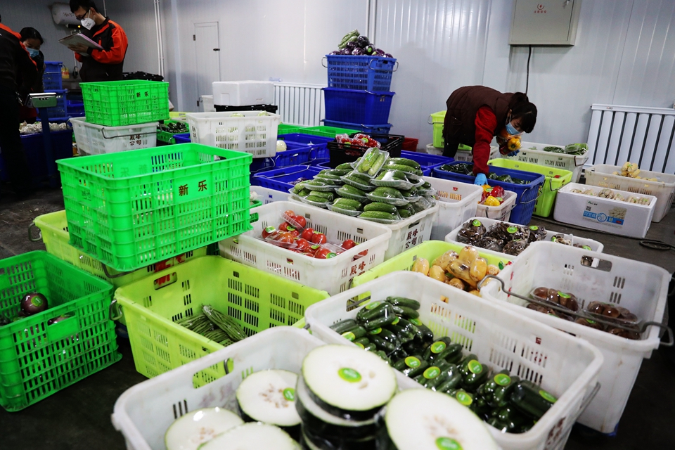 2020年1月30日,甘肃新乐连锁超市有限公司配送中心蔬菜分拣车间里