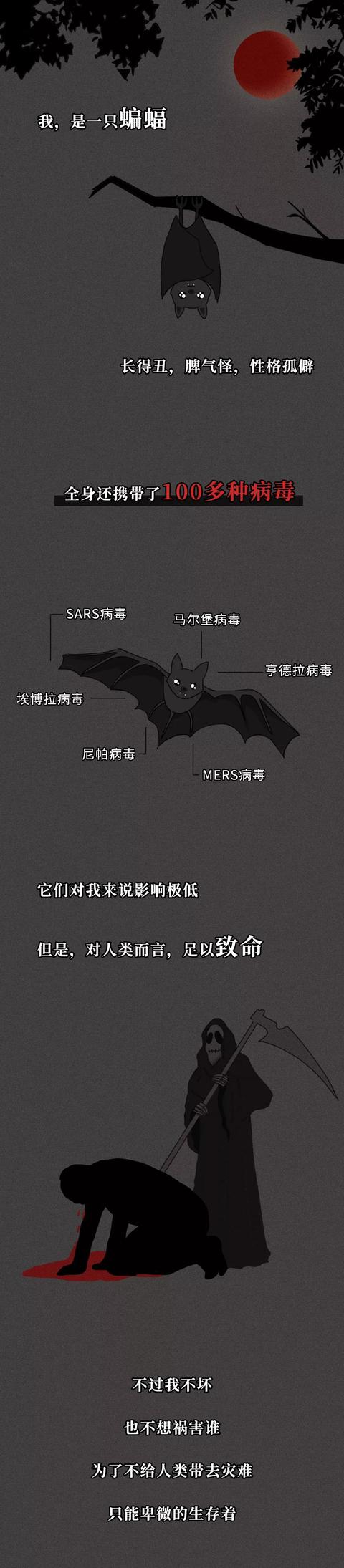河南交通广播■一只蝙蝠的自述在朋友圈火了：千万不要再吃野味了