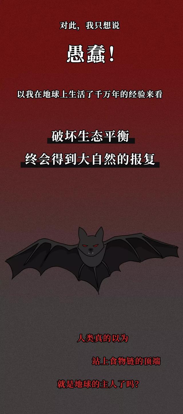 河南交通广播■一只蝙蝠的自述在朋友圈火了：千万不要再吃野味了