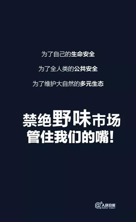 河南交通广播■一只蝙蝠的自述在朋友圈火了：千万不要再吃野味了