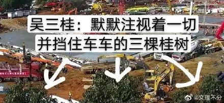 「每日经济新闻」“白居易”“送灰宗”，每台工程车都有名字！这场4000万人熬夜看的直播火了