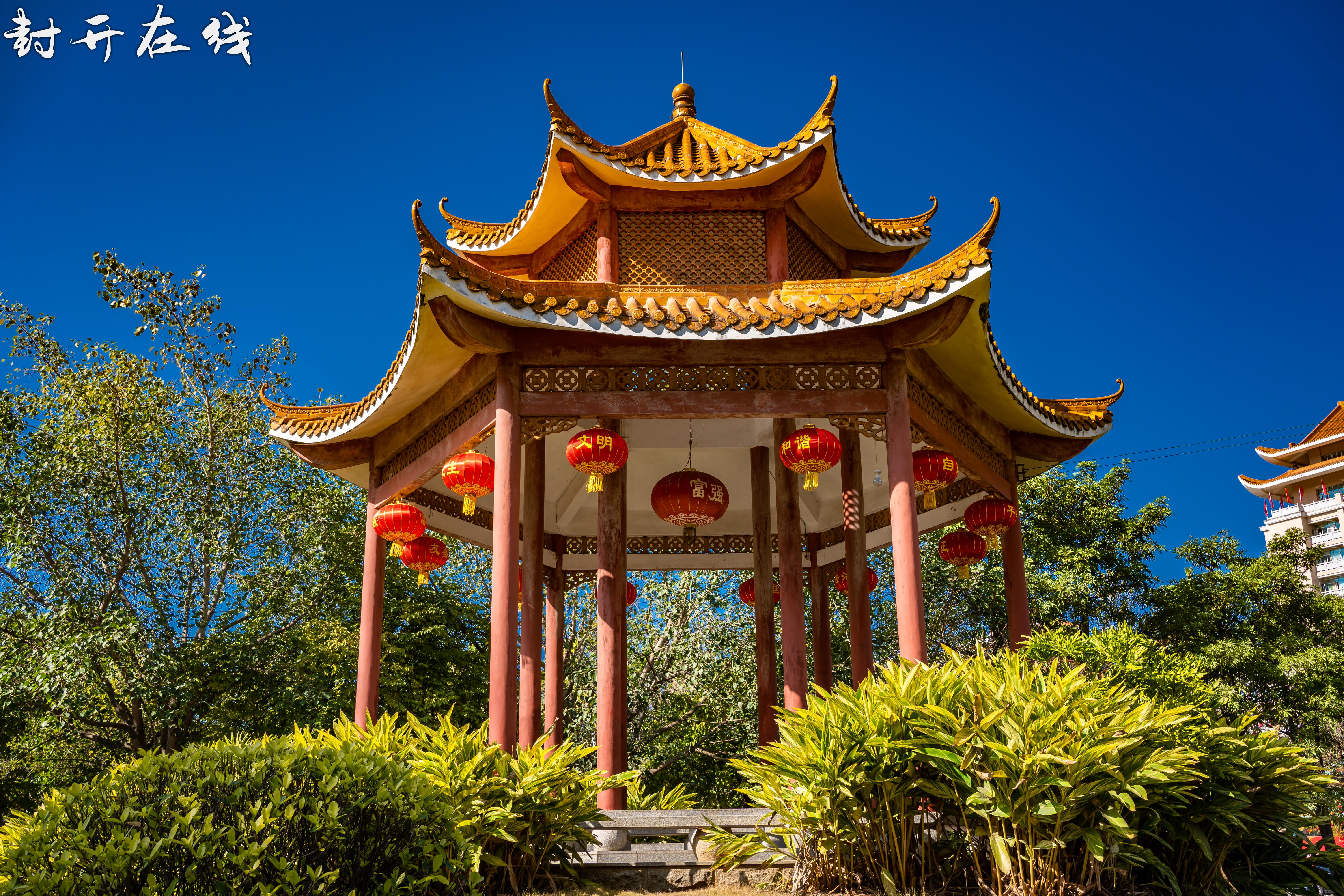 2020年1月30日(初六)封开县人民广场照片