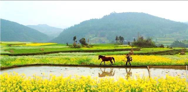 农村的田园生活大家向往不,真实的农村面貌是怎样的?