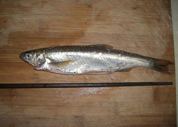 1,将买来的小鱼苗放进清水中泡洗,拿一把小剪刀,轻轻剖开小鱼肚子,把