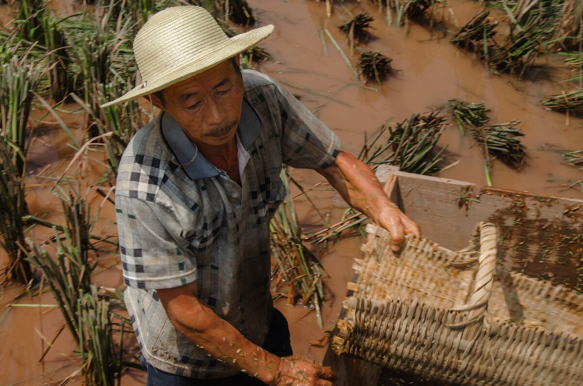 在我國農村,為何到了60歲依然有很多農民下地幹活?