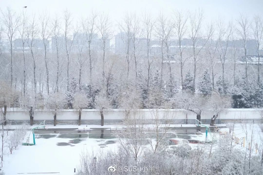 陕西法制网@20200202，有雪，有爱