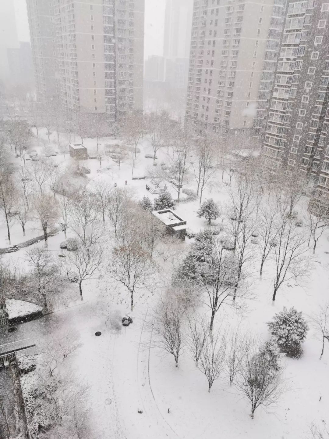 陕西法制网@20200202，有雪，有爱