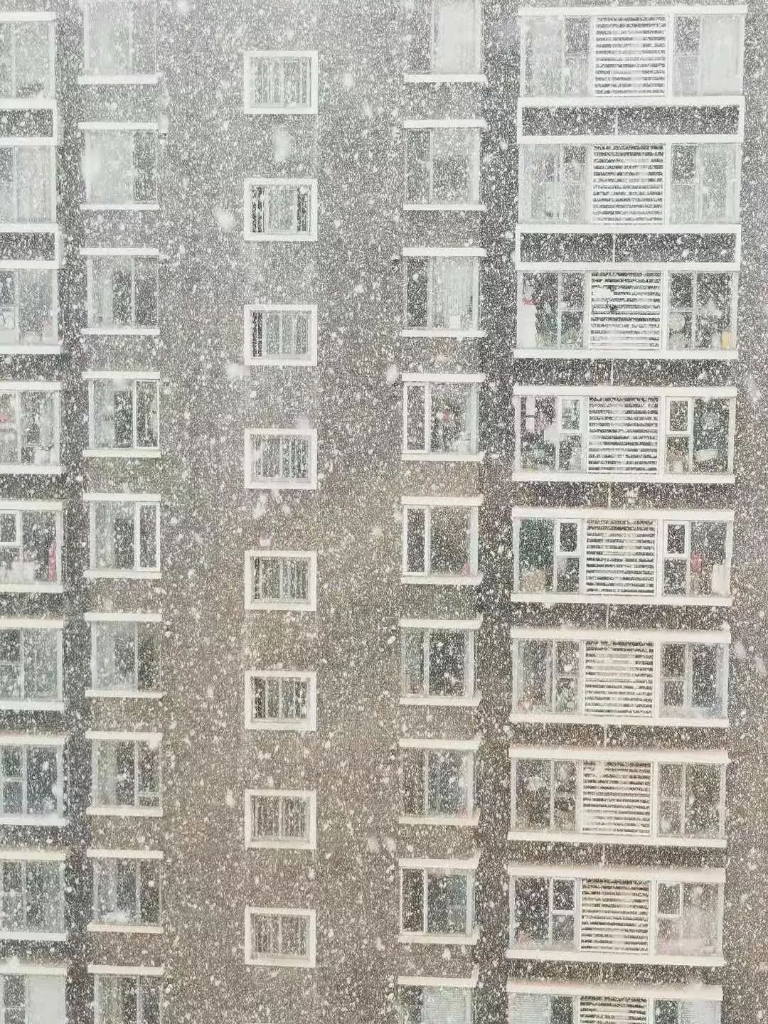 陕西法制网@20200202，有雪，有爱