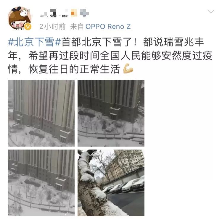 陕西法制网@20200202，有雪，有爱