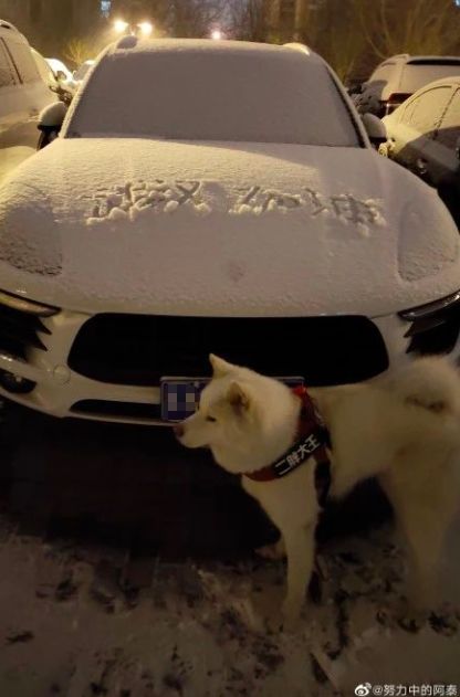 陕西法制网@20200202，有雪，有爱