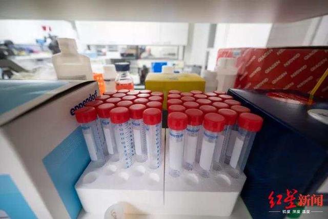 燕赵都市报：国际冠状病毒专家：长远来看，应研发适用所有冠状病毒的通用药物