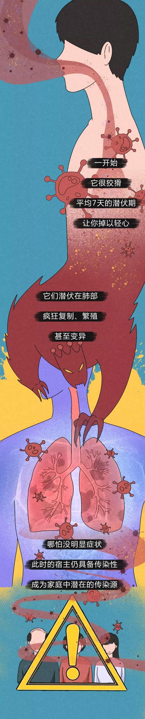 【中国农科新闻网】病毒进入体内的48小时……