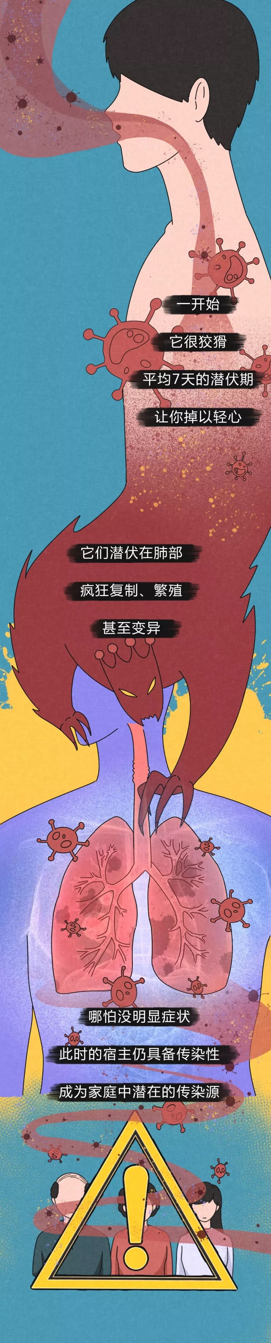 #青岛新闻网#病毒进入体内的48小时
