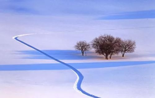 郭振萍:又见雪花开