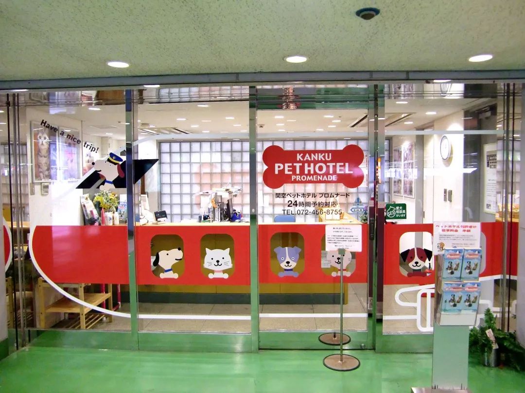 「新周刊」过去的一个月，你的宠物过得比你还惨