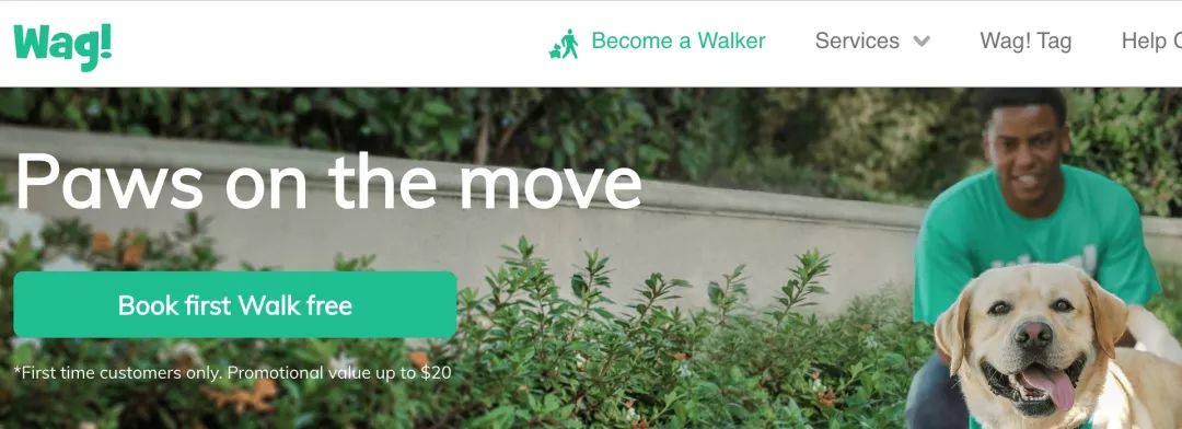 「新周刊」过去的一个月，你的宠物过得比你还惨