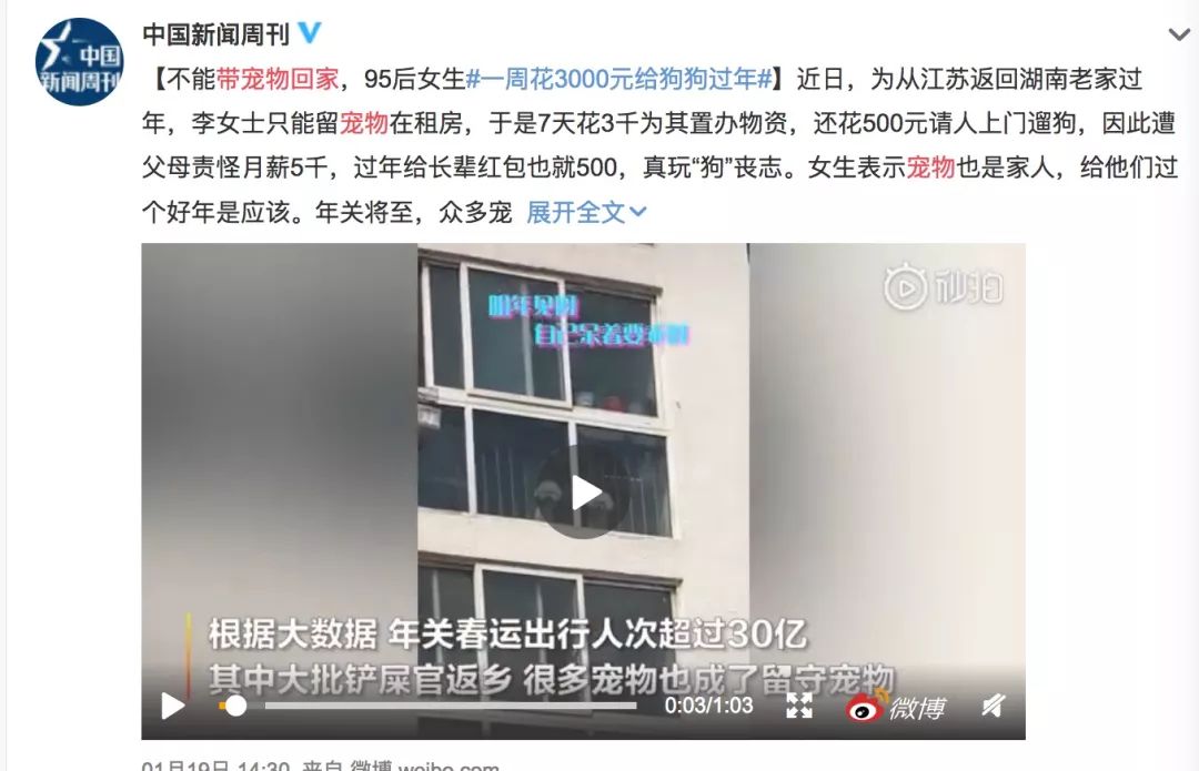「新周刊」过去的一个月，你的宠物过得比你还惨