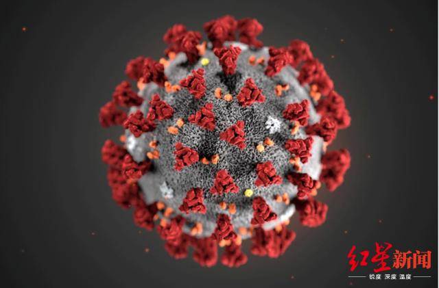 #红星新闻#日本专业机构对孕妇发出防疫建议