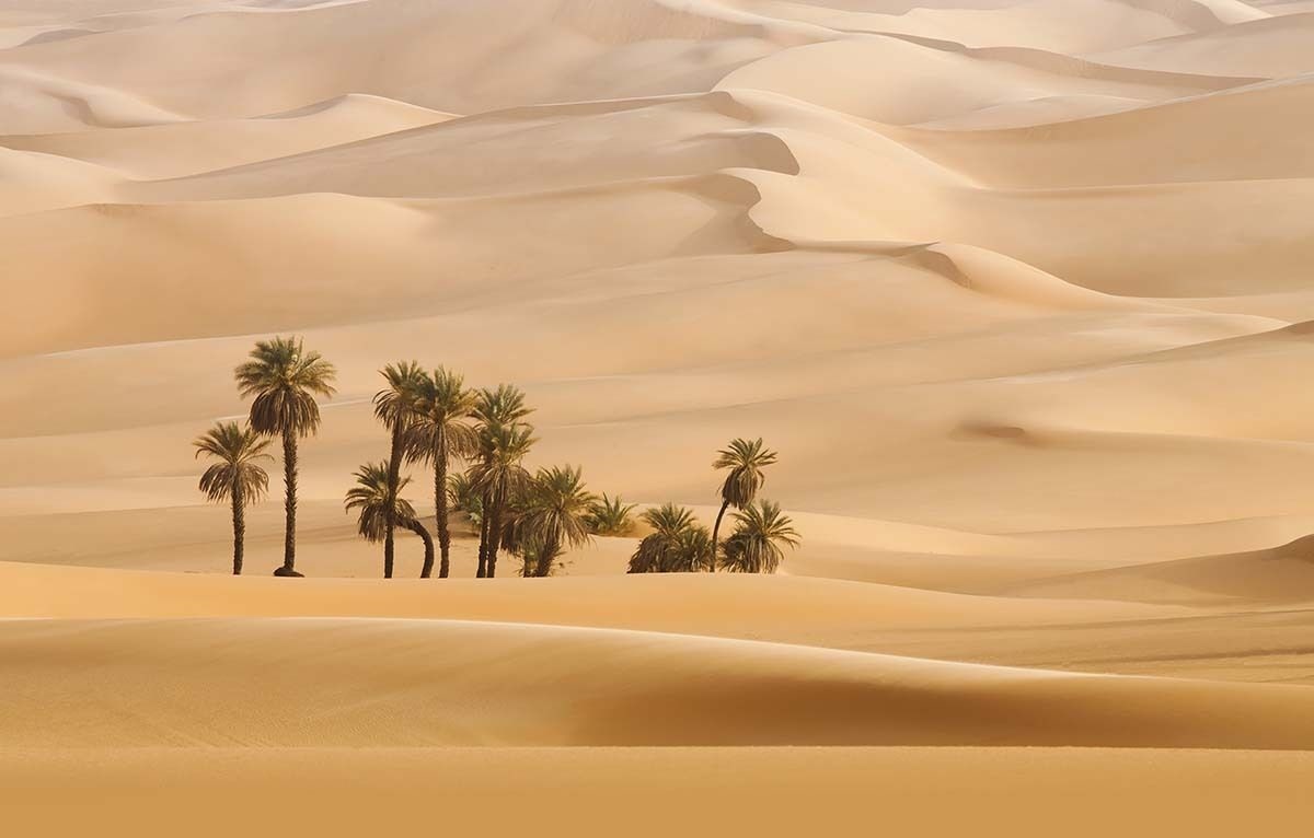 地处五海三洲之地的西亚地区既是世界石油宝库也是世界火药桶