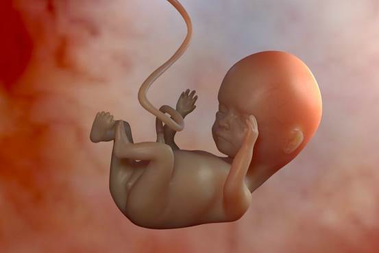 胎儿9个月在腹中图片图片